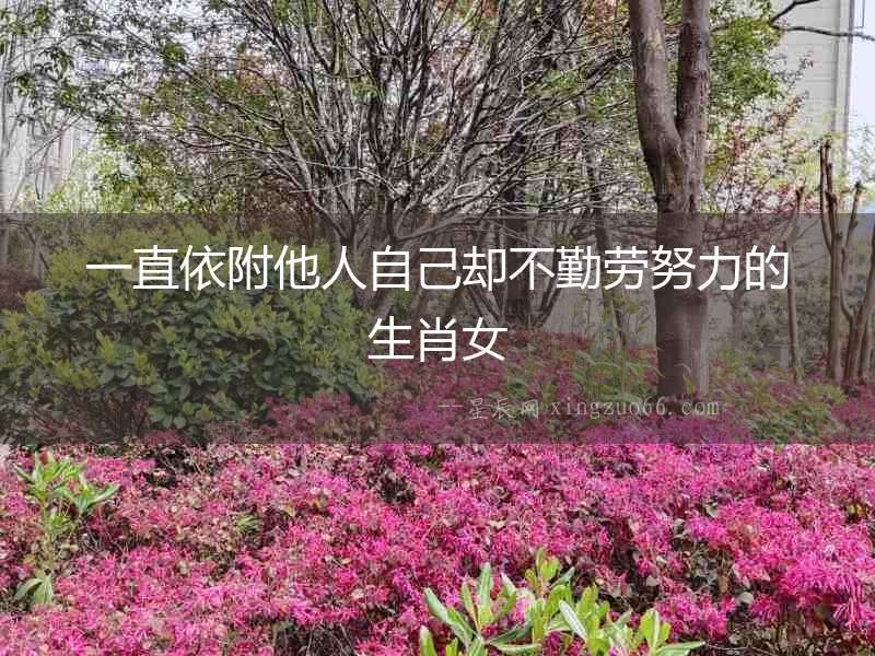 一直依附他人自己卻不勤勞努力的生肖女