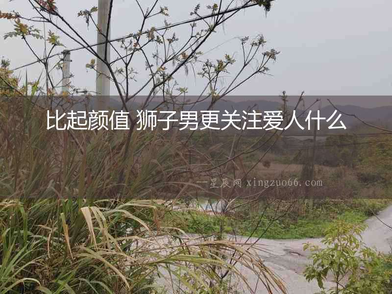 比起顏值 獅子男更關注愛人什么