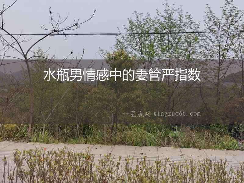 水瓶男情感中的妻管嚴指數