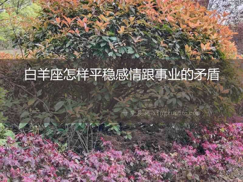 白羊座怎樣平穩(wěn)感情跟事業(yè)的矛盾
