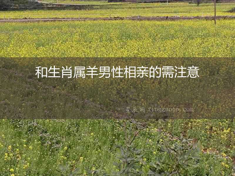 和生肖屬羊男性相親的需注意