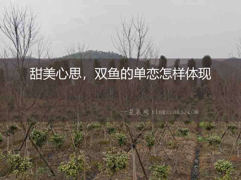 甜美心思，雙魚的單戀怎樣體現