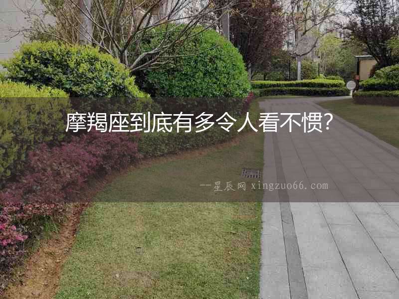 摩羯座到底有多令人看不慣？