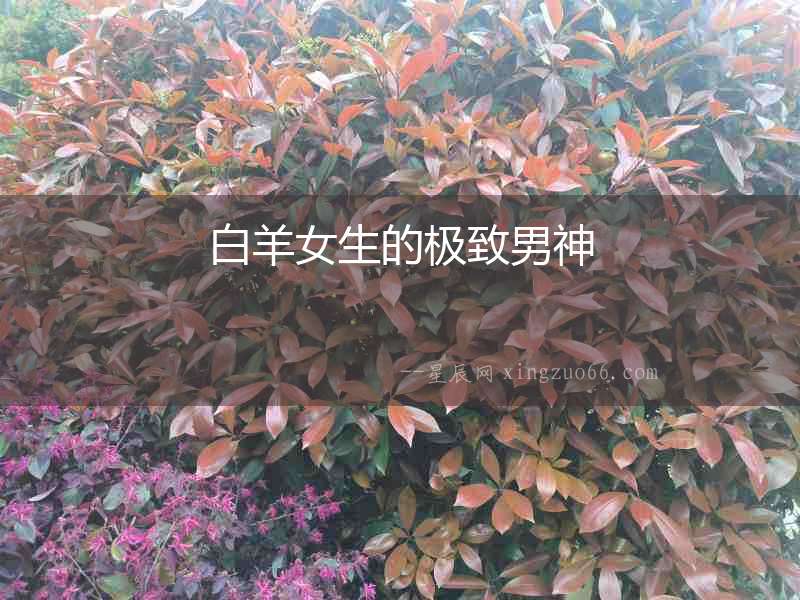 白羊女生的極致男神