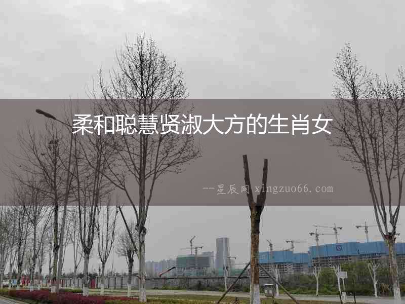 柔和聰慧賢淑大方的生肖女