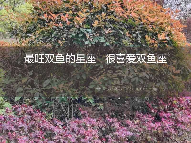 最旺雙魚的星座   很喜愛雙魚座
