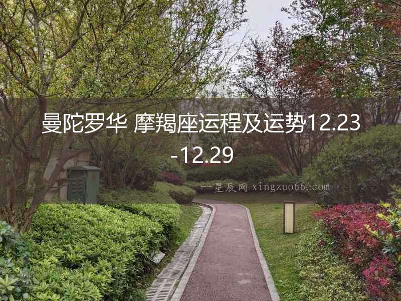 曼陀羅華 摩羯座運(yùn)程及運(yùn)勢(shì)12.23-12.29