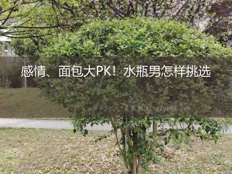 感情、面包大PK！水瓶男怎樣挑選