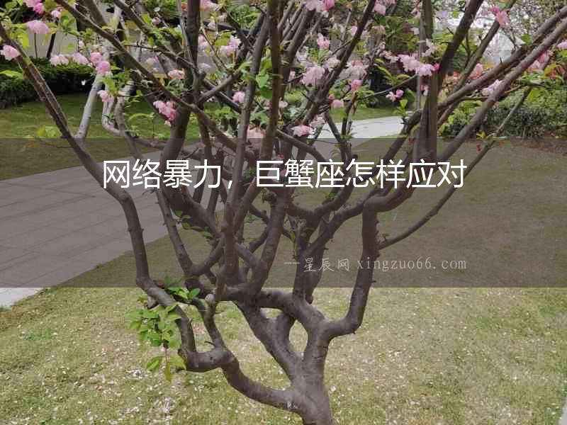 網絡暴力，巨蟹座怎樣應對