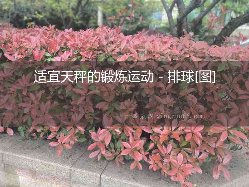 適宜天秤的鍛煉運(yùn)動－排球[圖]