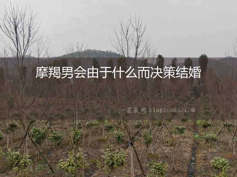 摩羯男會由于什么而決策結婚