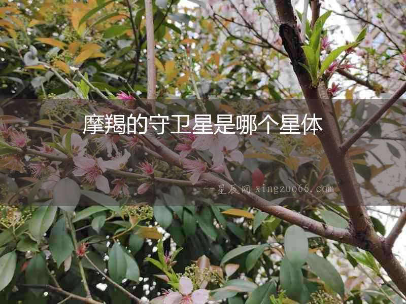 摩羯的守衛星是哪個星體