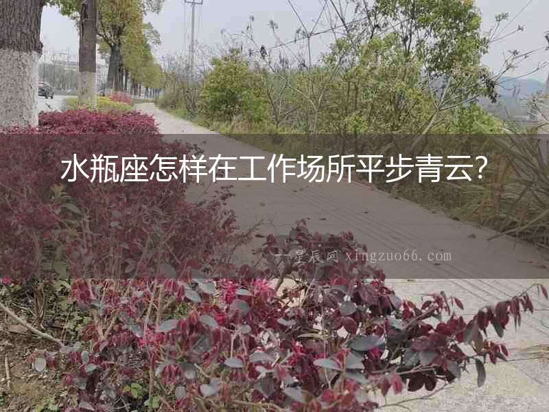 水瓶座怎樣在工作場所平步青云？