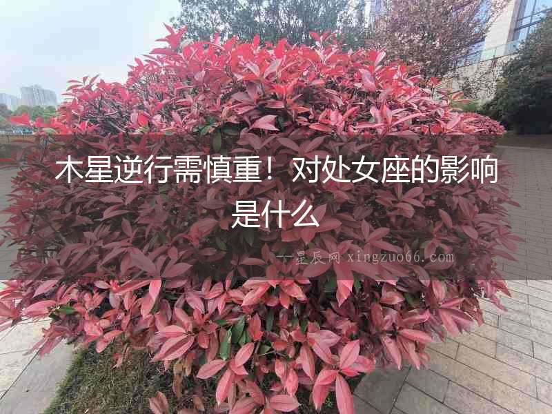 木星逆行需慎重！對處女座的影響是什么