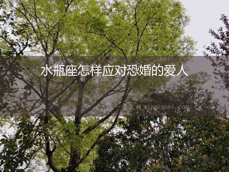 水瓶座怎樣應對恐婚的愛人