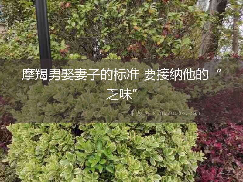 摩羯男娶妻子的標準 要接納他的“乏味”