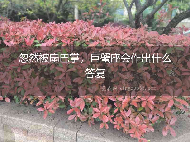 忽然被扇巴掌，巨蟹座會(huì)作出什么答復(fù)