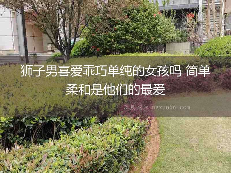 獅子男喜愛乖巧單純的女孩嗎 簡單柔和是他們的最愛