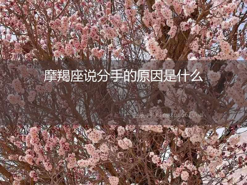 摩羯座說分手的原因是什么