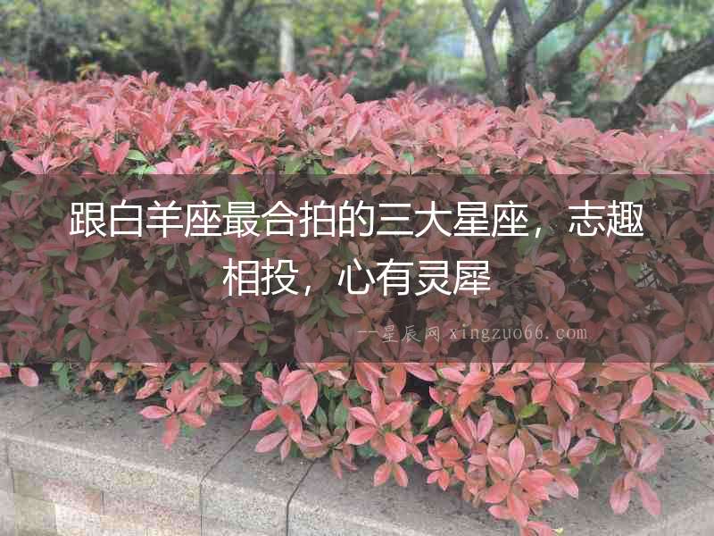 跟白羊座最合拍的三大星座，志趣相投，心有靈犀