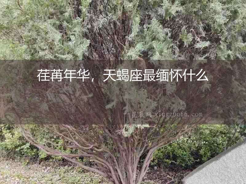 荏苒年華，天蝎座最緬懷什么