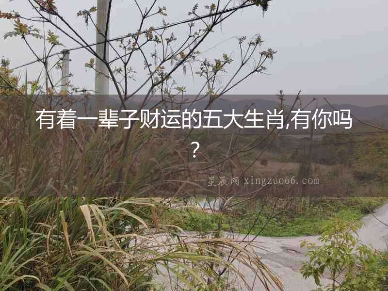 有著一輩子財運的五大生肖,有你嗎？