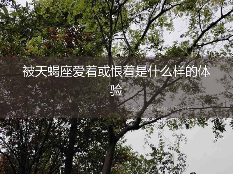 被天蝎座愛著或恨著是什么樣的體驗