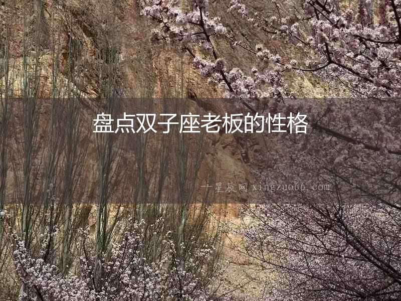 盤點雙子座老板的性格