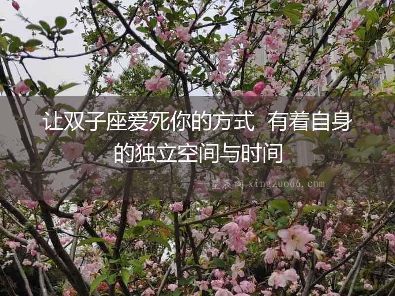 讓雙子座愛死你的方式  有著自身的獨立空間與時間