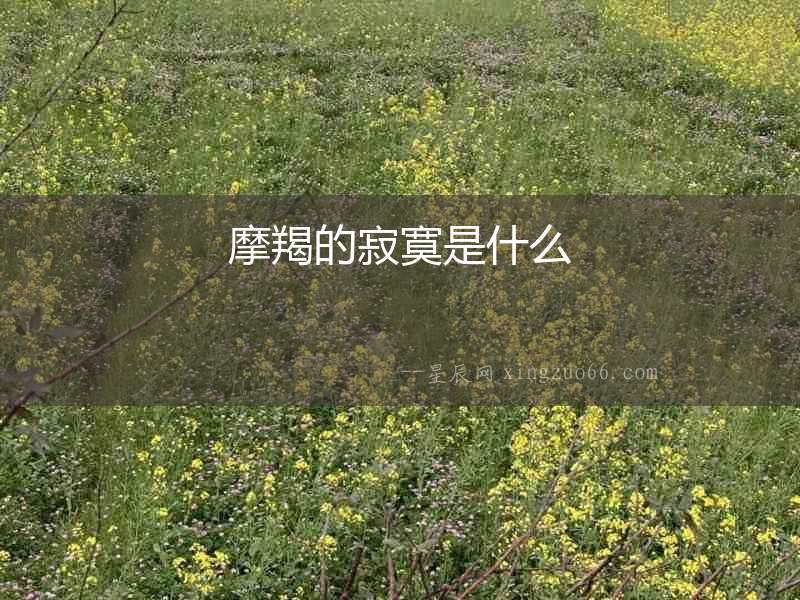 摩羯的寂寞是什么