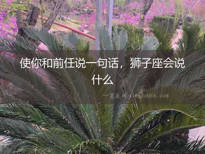 使你和前任說一句話，獅子座會說什么