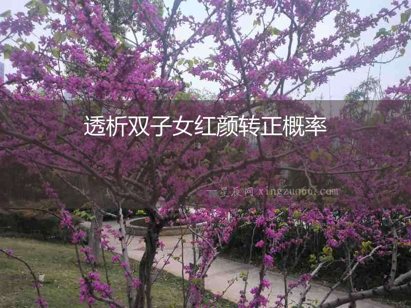 透析雙子女紅顏轉正概率