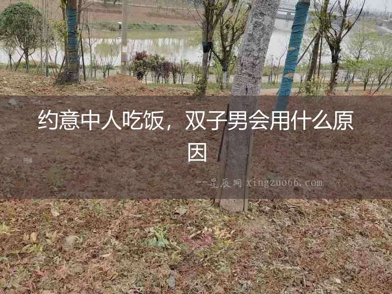 約意中人吃飯，雙子男會用什么原因