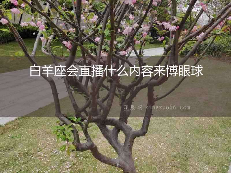 白羊座會直播什么內(nèi)容來博眼球