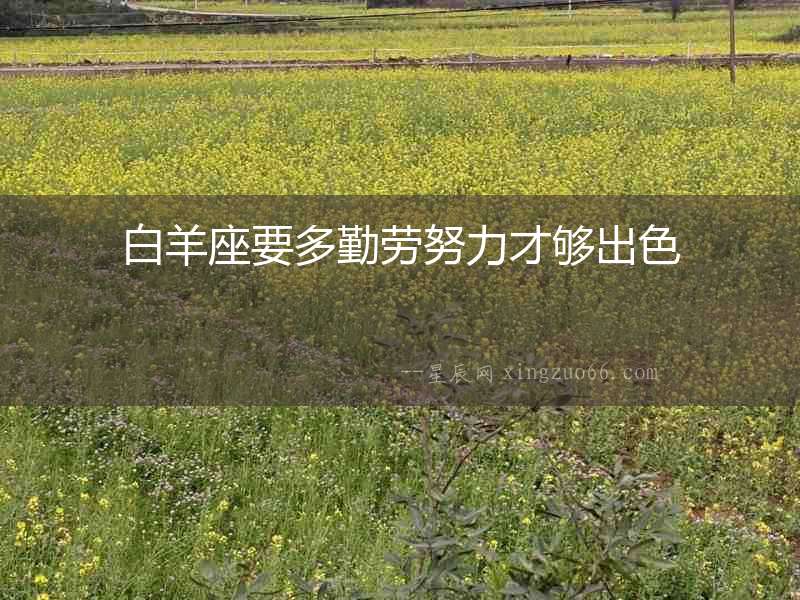 白羊座要多勤勞努力才夠出色