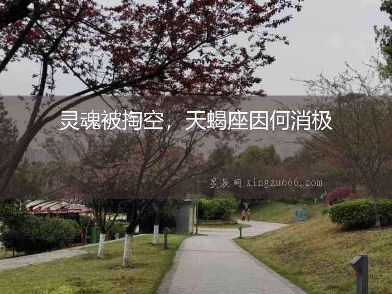 靈魂被掏空，天蝎座因何消極