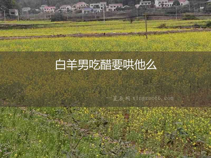 白羊男吃醋要哄他么
