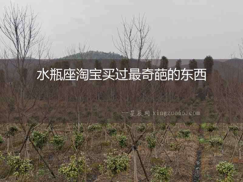 水瓶座淘寶買過最奇葩的東西