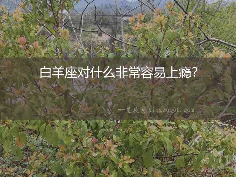 白羊座對什么非常容易上癮？