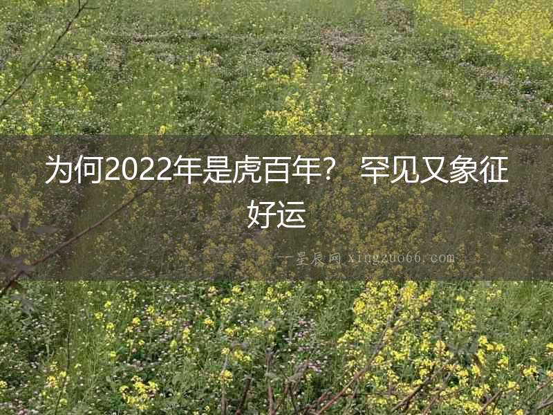 為何2022年是虎百年？ 罕見又象征好運