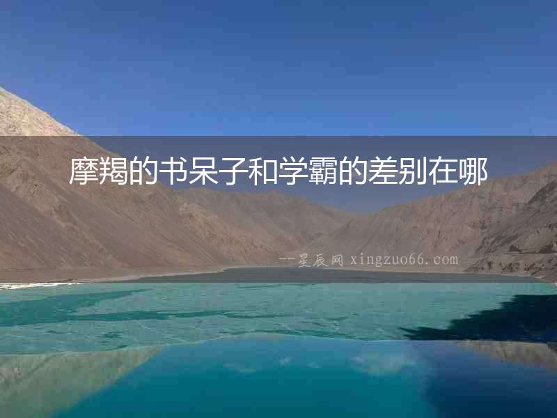 摩羯的書呆子和學霸的差別在哪