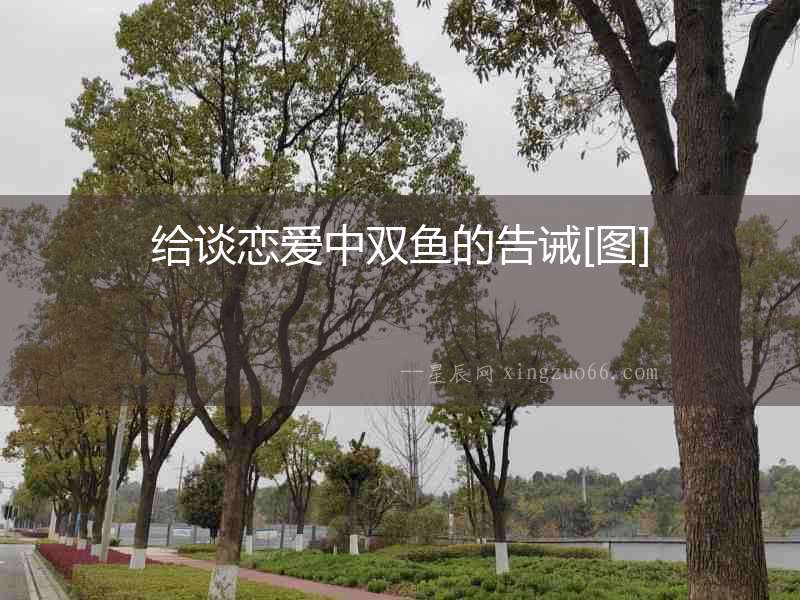 給談戀愛中雙魚的告誡[圖]