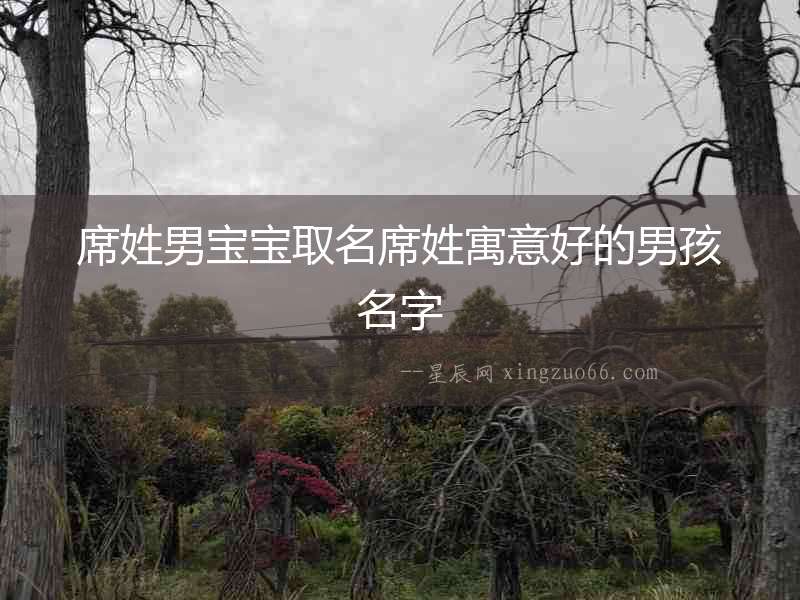 席姓男寶寶取名席姓寓意好的男孩名字
