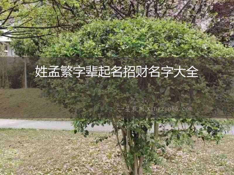 姓孟繁字輩起名招財名字大全