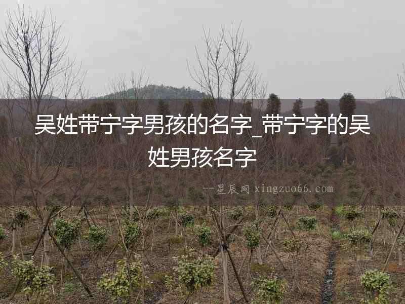 吳姓帶寧字男孩的名字_帶寧字的吳姓男孩名字