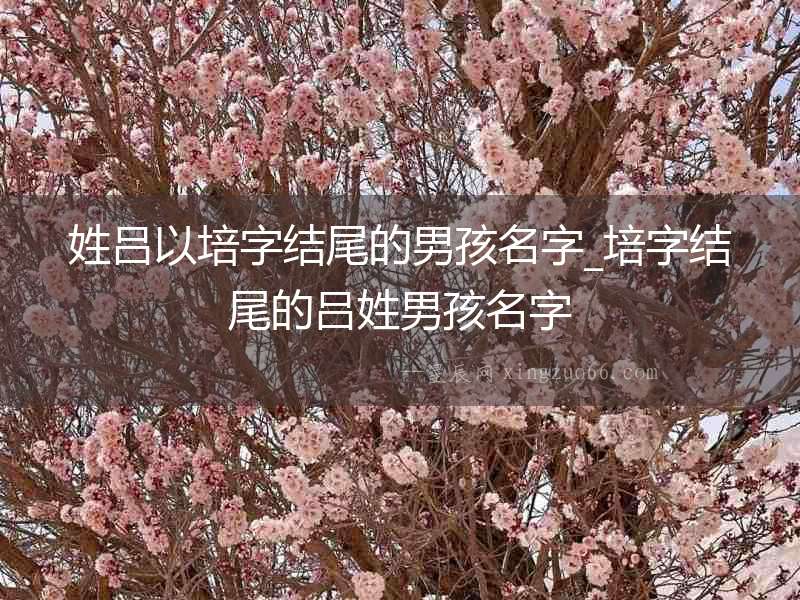 姓呂以培字結尾的男孩名字_培字結尾的呂姓男孩名字