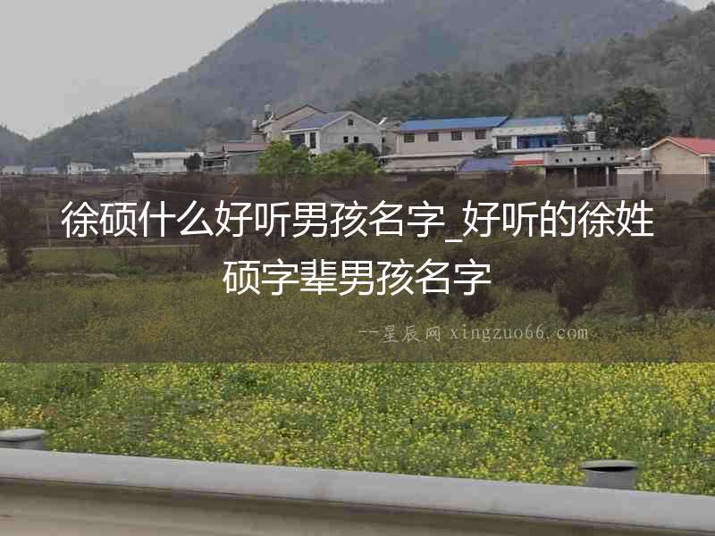 徐碩什么好聽男孩名字_好聽的徐姓碩字輩男孩名字