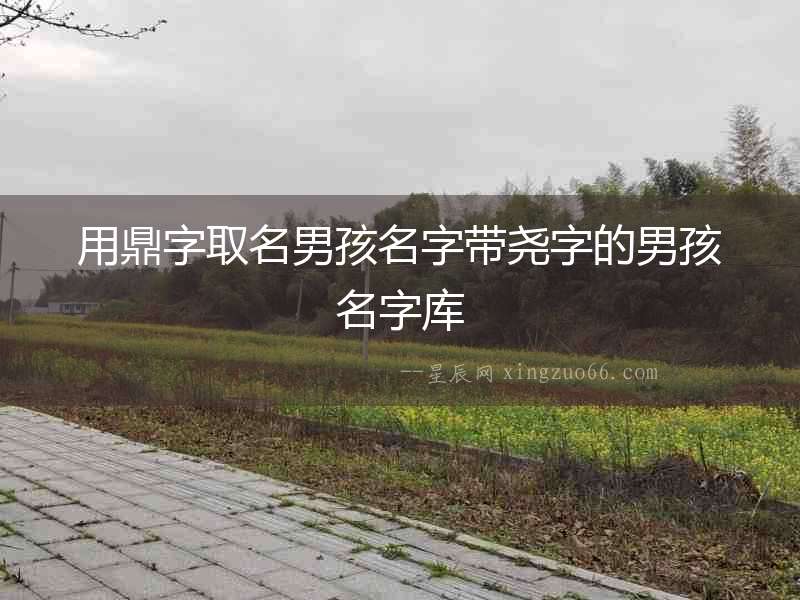 用鼎字取名男孩名字帶堯字的男孩名字庫