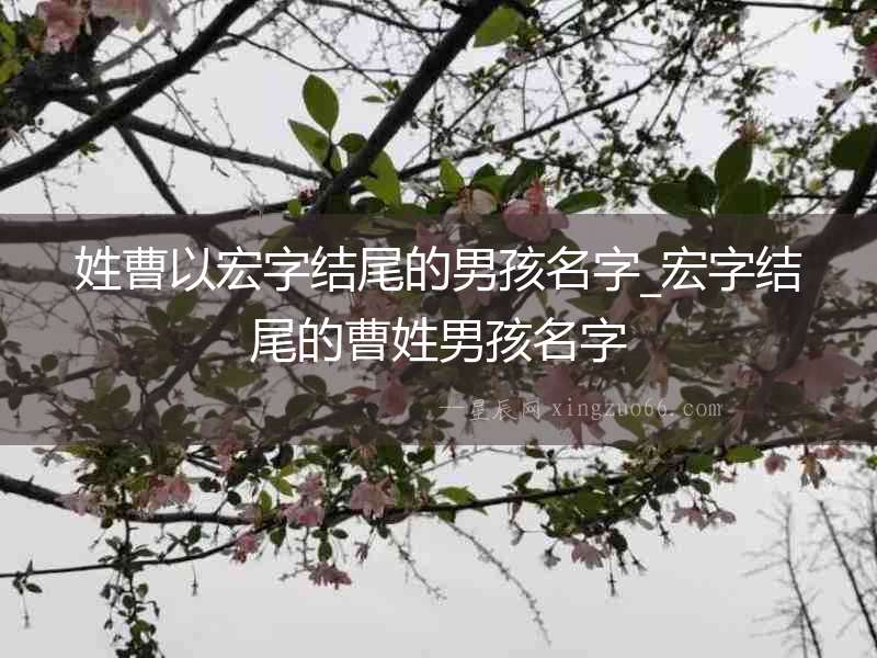 姓曹以宏字結尾的男孩名字_宏字結尾的曹姓男孩名字