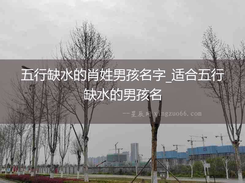 五行缺水的肖姓男孩名字_適合五行缺水的男孩名